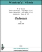 Mozart Flute Cadenzas cover